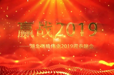 湖北雨晴偉業2019迎春晚會